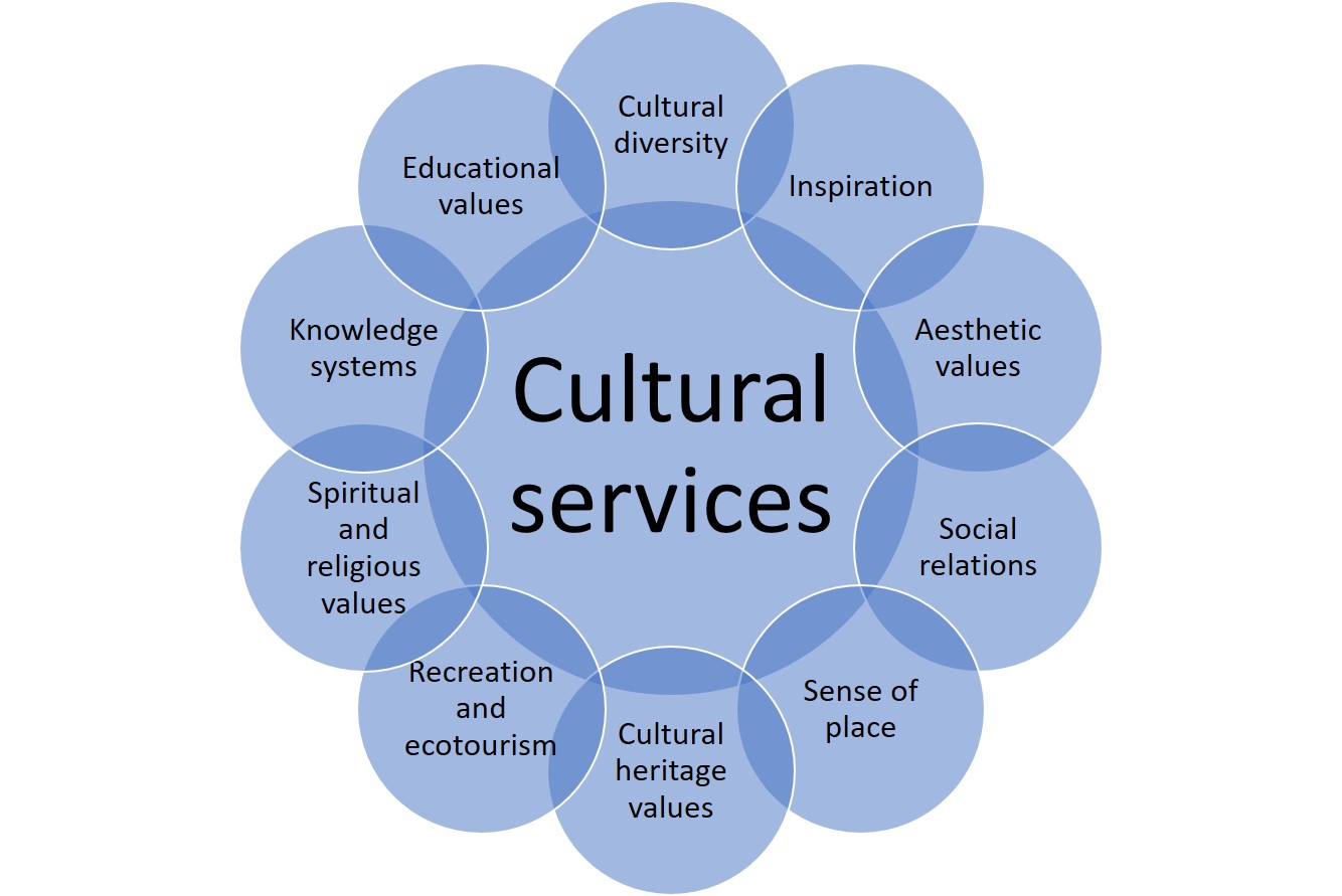Categories of cultural ecosystem services